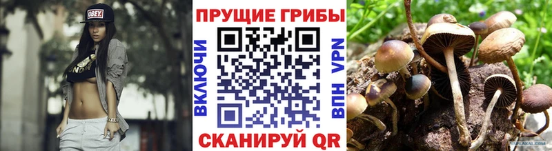 Купить  Тутаев  Галлюциногенные грибы ЛСД 
